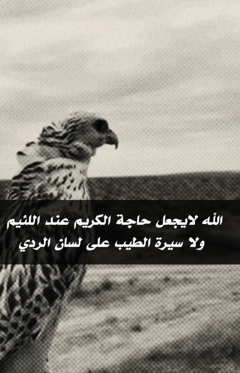 #CapCut #7110917 شريان العز 