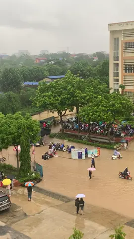 #Tueba lũ về trường T rồi😑#tansinhvien #xuhuong 