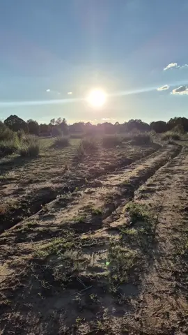 At this point in time, I feel like I'm able to keep on walking. Someday, I'll walk til I can't go any further.  #sobriety #fypシ #foryourpage #nativetiktok #therapy 