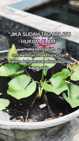 hukum alam 🫵 #fyp #psht #shterate  #foryoupage 