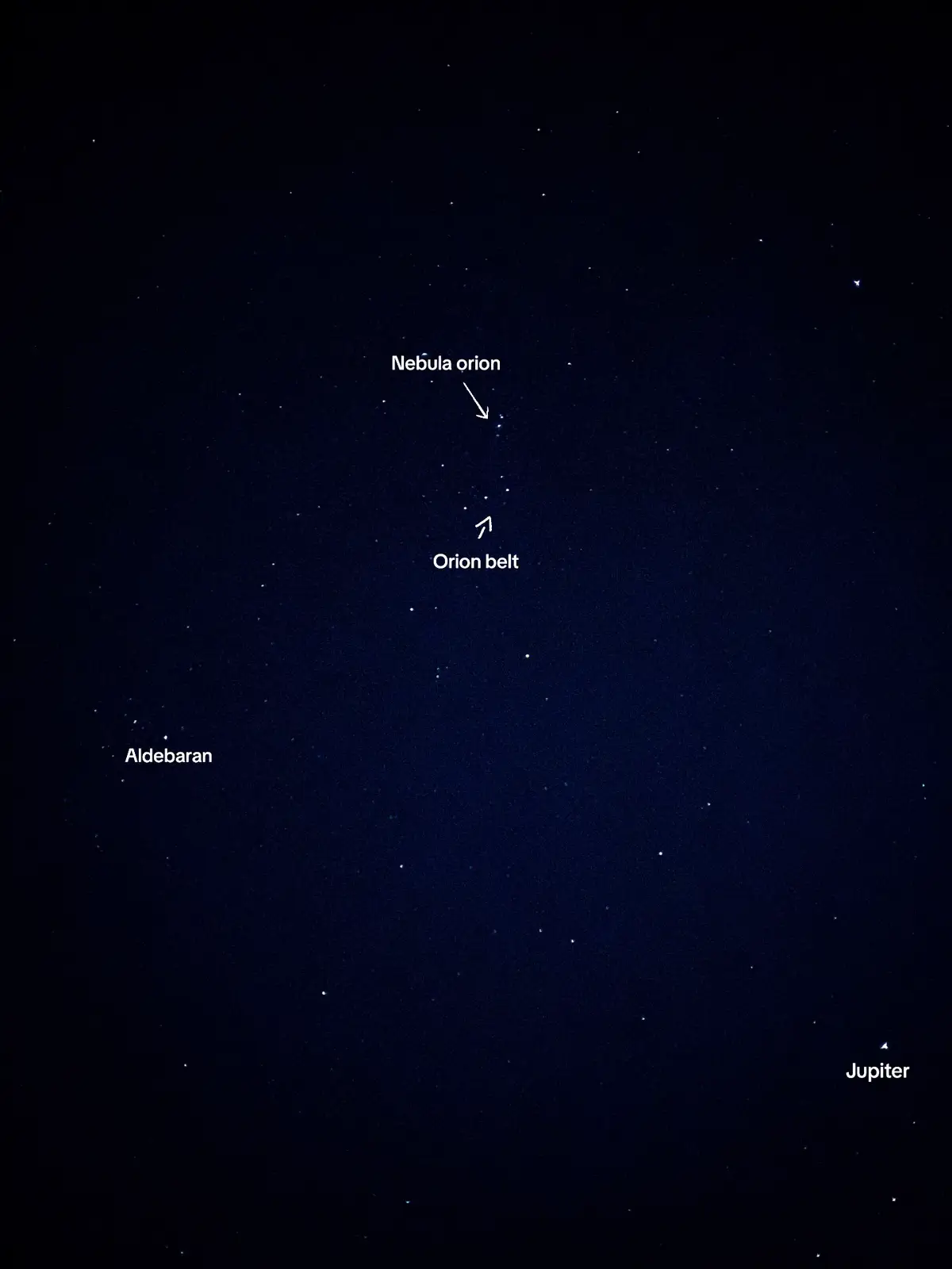 Langit musim Orion, memperlihatkan jajaran rasi bintang dan planet yang hanya bisa terlihat jelas di musim ini. #orion #planet #bintang #astronomi #fyp 