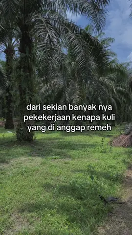 #fyp #sawitontiktok #🌴🌴🌴🌴 