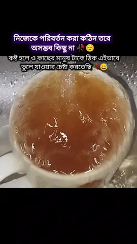 ইনশাআল্লাহ খুব তারাতাড়ি আসবে আমার পরিবর্তন 🥀☺️ fyp#tiktok #foryou #tiktokviralvedio #foryoupageofficiall 