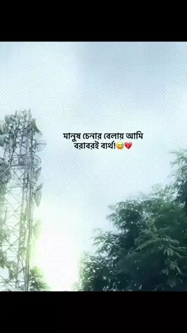 #duet with @YoUr CrUsH 🧃 😫❤️‍🩹🕊️ . .  . . . #Trending #foryoupage #viraltiktokvideo #fyppppppppppppppppppppppp @TikTok @TikTok Bangladesh 