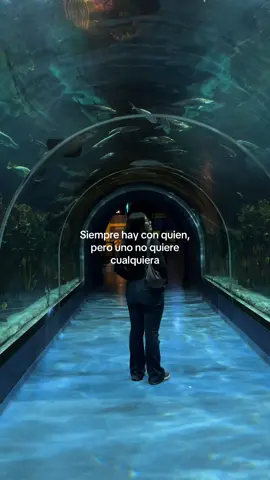 #amorpropio #selflove #exclusividad #wellness #crecimientopersonal  