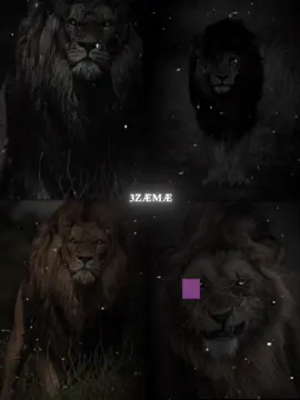 .🔥😉حط 4 صور ومبروك التريند #CapCut #viral #تصميم_فيديوهات  #fyp #مشاهدات 