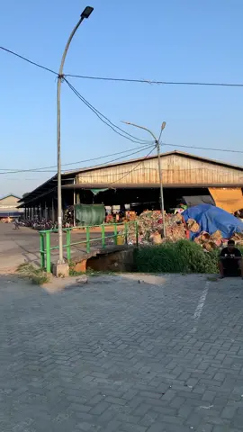 #CapCut #sayawahidgank #wahidgank .id #tre #4u 