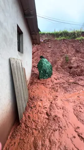 Cố lên Miền Bắc #chubodoi #bodoi #xuhuong 