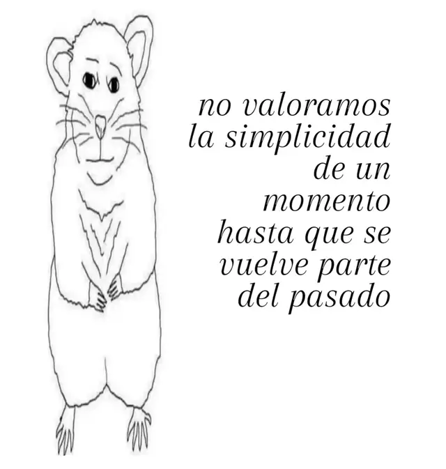 #foryou #fypシ゚ #paratiiii #ratoncito 