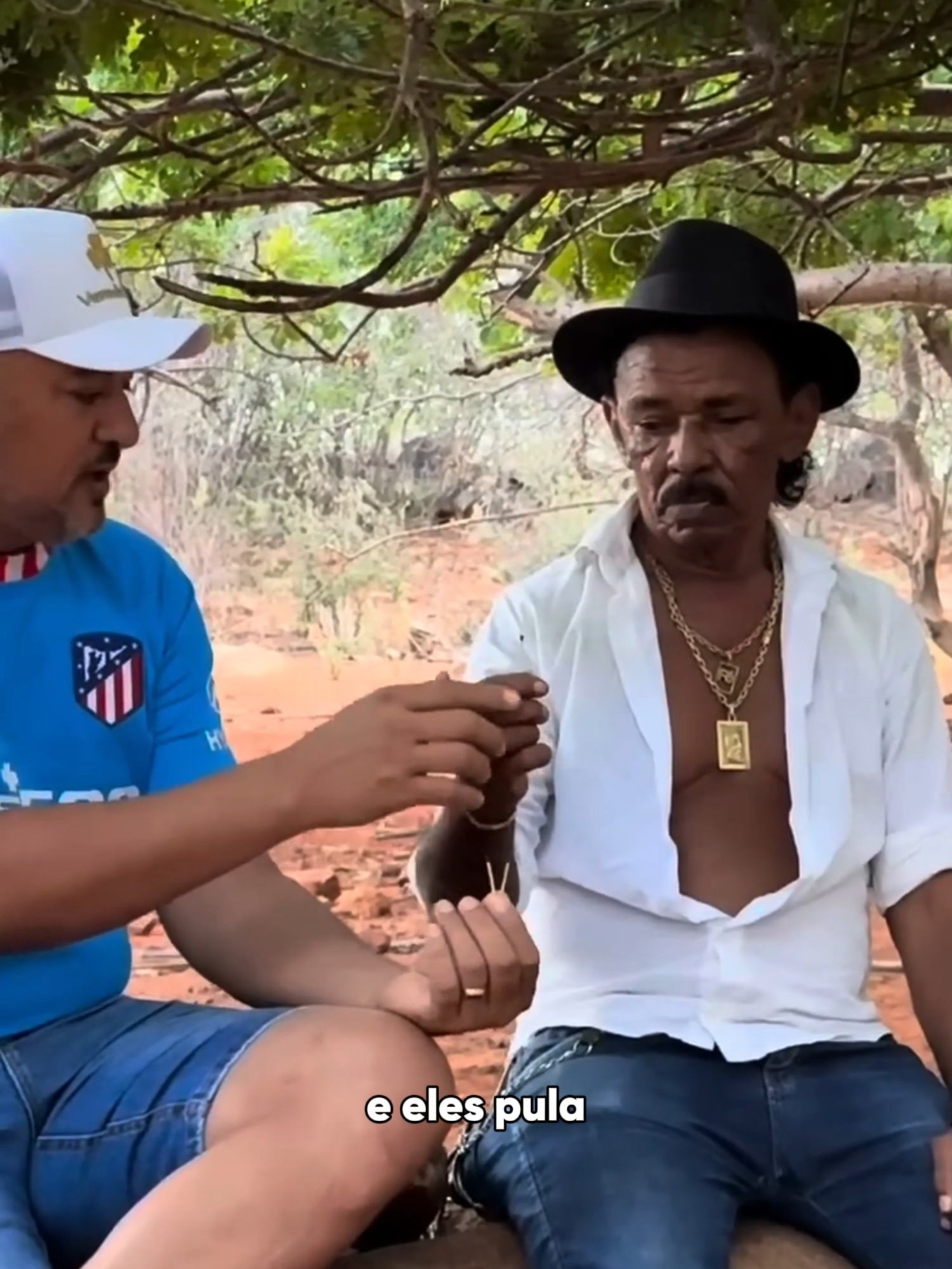 Tiringa cai na trolagem de Charlles kkkk  #memes #tiringa #tiringa_comedia_selvagem #tiringaoficial #humor #comedia