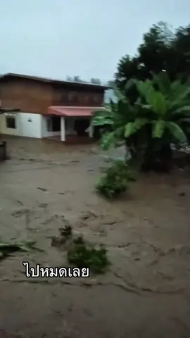 หนักมากปีนี้ #น้ำท่วมปี68   #อุตรดิตถ์ #น้ําท่วมอุตรดิตถ์ #น้ําปาด  #บ้านห้วยแมง 