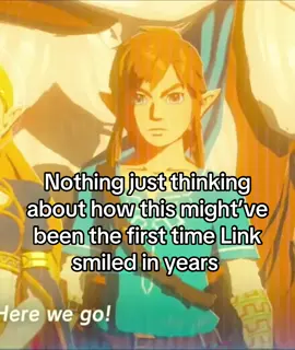 Since this cutscene is part of the champions ballad like Miphas diary, were we supposed to think back to her diary when we saw this? #zelda #breathofthewild #botw #botwlink 