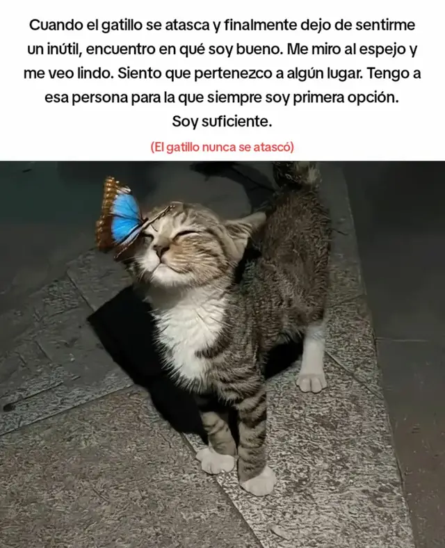 #texto #identificarse #gatos #flypシ #paratiiiiiiiiiiiiiiiiiiiiiiiiiiiiiii 