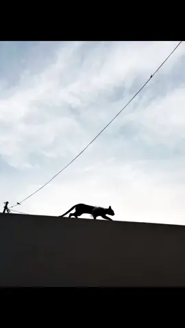 Absolutely right 💯#drisrarahmad 