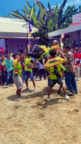 Black reborn.. #kudajingkrakpurworejo🐎 #kudajingkrakpurworejo #fyppppppppppppppppppppppp #masukberandamuu #viraltiktok 