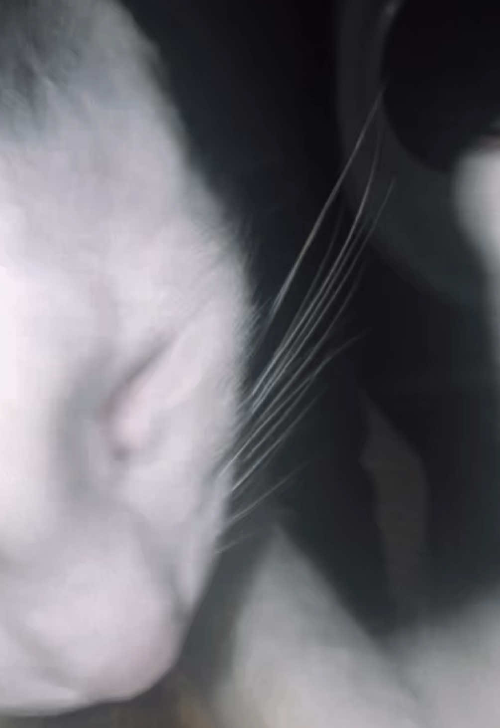 Hola woman 👩 #fyp #edit 