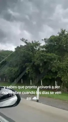 #novemberrain #gunsnroses 