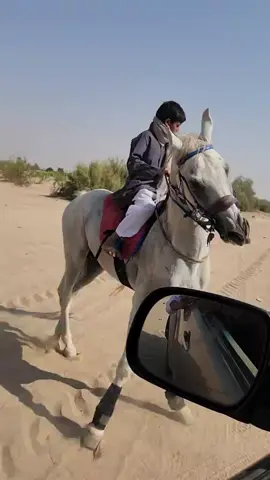 عاصوف الخيال عبدالرزاق بن علي شليل 
