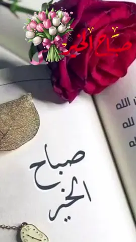 #CapCut #اكسبلوررر #متابعة #اشتراك #سوريا حلب ڪل صباح و أنتم سعدآء   أتقيآء بـقلوب💙 بيضاء   ووجوه مشرقة مبتسمة       والفرح يعم حياتڪم  والعافية تملأ أجسآدڪم         اسعد الله صباحكم