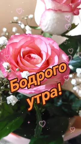 #цветы #розы #букет#хорошегодня #добрыесловаипожелания #хорошегонастроения #новинки2025 #сдобрымутром #любитежизнь #добрыепожелания #