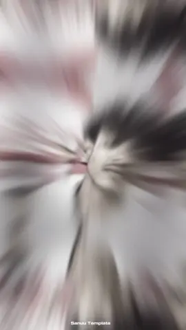 #ආයේ_එන්න_පණ_මාගේ😪❤  . . . #new_trending #viralvideo #viwes #fyppppppppppppppppppppppp 