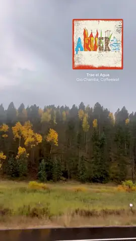 Fall colors in Colorado 