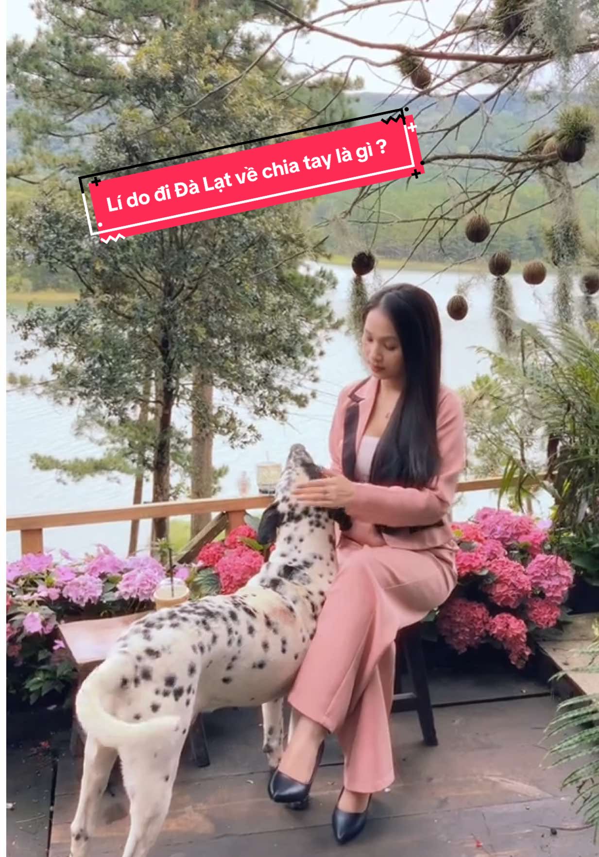 Lí do Đi Đà Lạt về chia tay là gì ? #happyhilldalat #dulichdalat #dalatdidau #dalatstory #dalat 