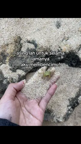 #djharisnugraha #fypage 