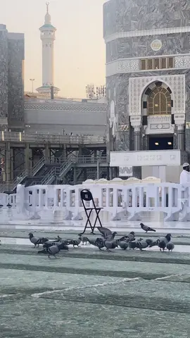 #صباح_الخير من #مكة 