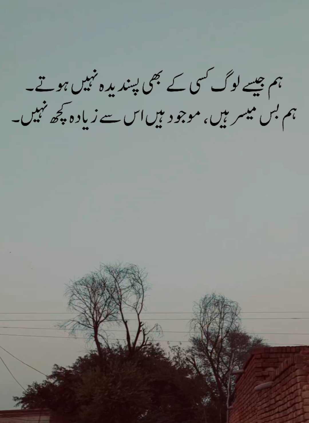 ہم جیسے لوگ کسی کے بھی پسندیدہ نہیں ہوتے ہم بس میسر ہیں، موجود ہیں اس سے زیادہ کچھ نہیں ! #just_zarii05 #foryoupage #foryoupage #plzunfrezemyaccount #plzdontunderviewsmyvedios 