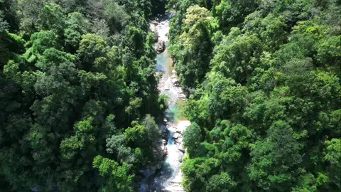 đắm chìm con thác háng đề chơ mê lòng người #thác #xuhuong #xuhuongtiktok #dji #djimini3pro 