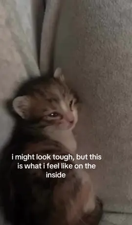 #LanguageLearning #fyp #sad #sadvideo #relatable 