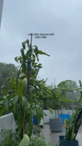 সবাই এগিয়ে যাচ্ছে, আমি হারিয়ে যাচ্ছি।