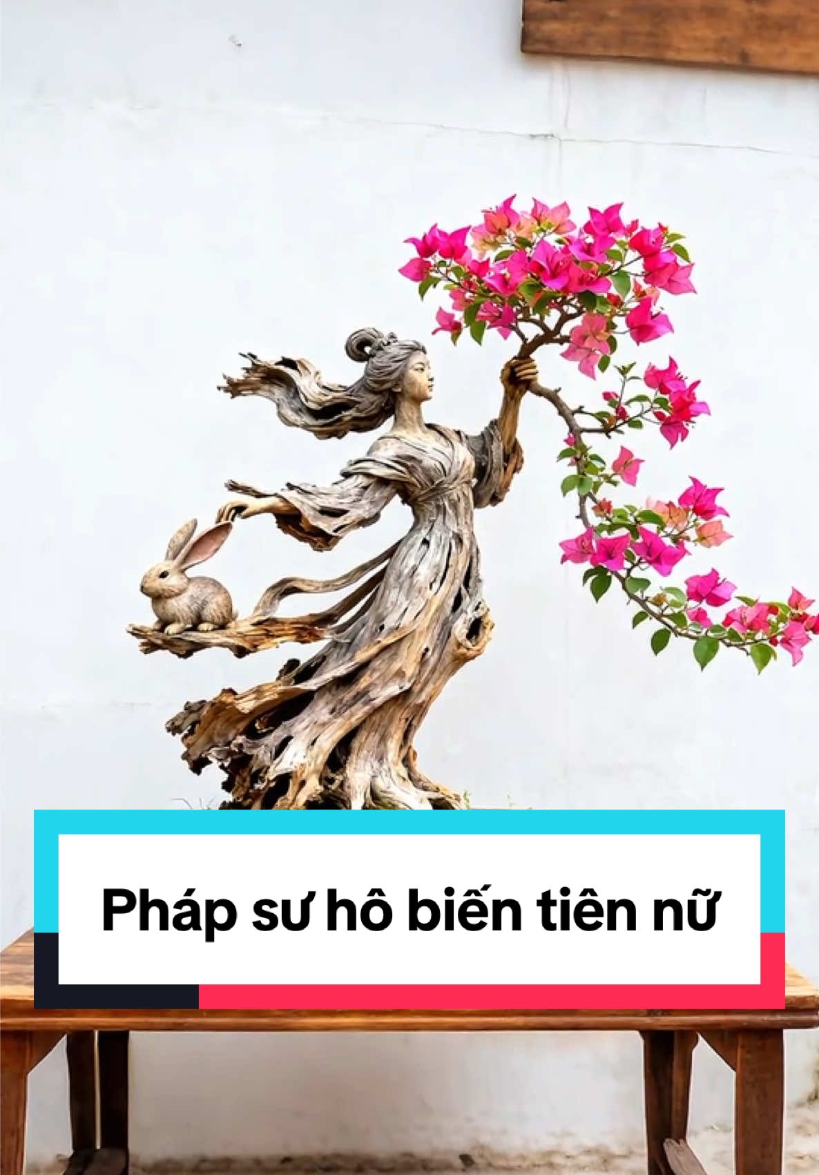 Mở mang tầm mắt #viral #caybonsai #caydepthiennhien #câycảnhbonsai #caycanhnghethuat 