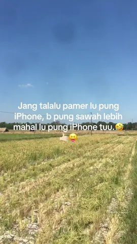 Son seberapara lu pung harga ipohene  den b pung harga sawah 🤣🤣😂#promomakangajian #masukberandafyp #nttpride🏝🔥fypシviral #fyppppppppppppppppppppppp #fypシ゚viral🖤tiktok 
