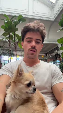 This is Ellie’s favourite place in the world I promise #the1975 #mattyhealy1975 