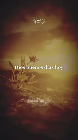 Dios, buenos días, hoy martes 30 de septiembre. #jesus #dios #oraciondelamaña #bendiciones #buenosdias 