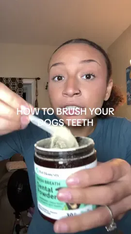 the easiest most effective way to clean your dogs mouth!! 🐶🦷🪥🐾 #pethonesty 