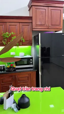 Quạt Trần 6 Cánh sải 1.67m ,#quattran #quattranden #quattrantrangtri #xuhuongtiktok2025 #lycocham1987 