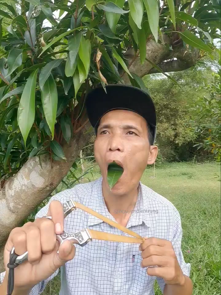 #entertainment #birdsounds #shorts - Nguyễn Điền Trung