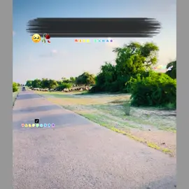 Fozia_Soomro 🥹🥀 Reach Down 💔😢 #sindhisong #sindhwale #sindhifam #trendingvideo #trending #unfreezemyacount #viraltiktok #grow #growmyaccount #tiktokpakistan #unfreeze #1millionviews #fypシ゚viral #foryoupage #fypシ #foryou 