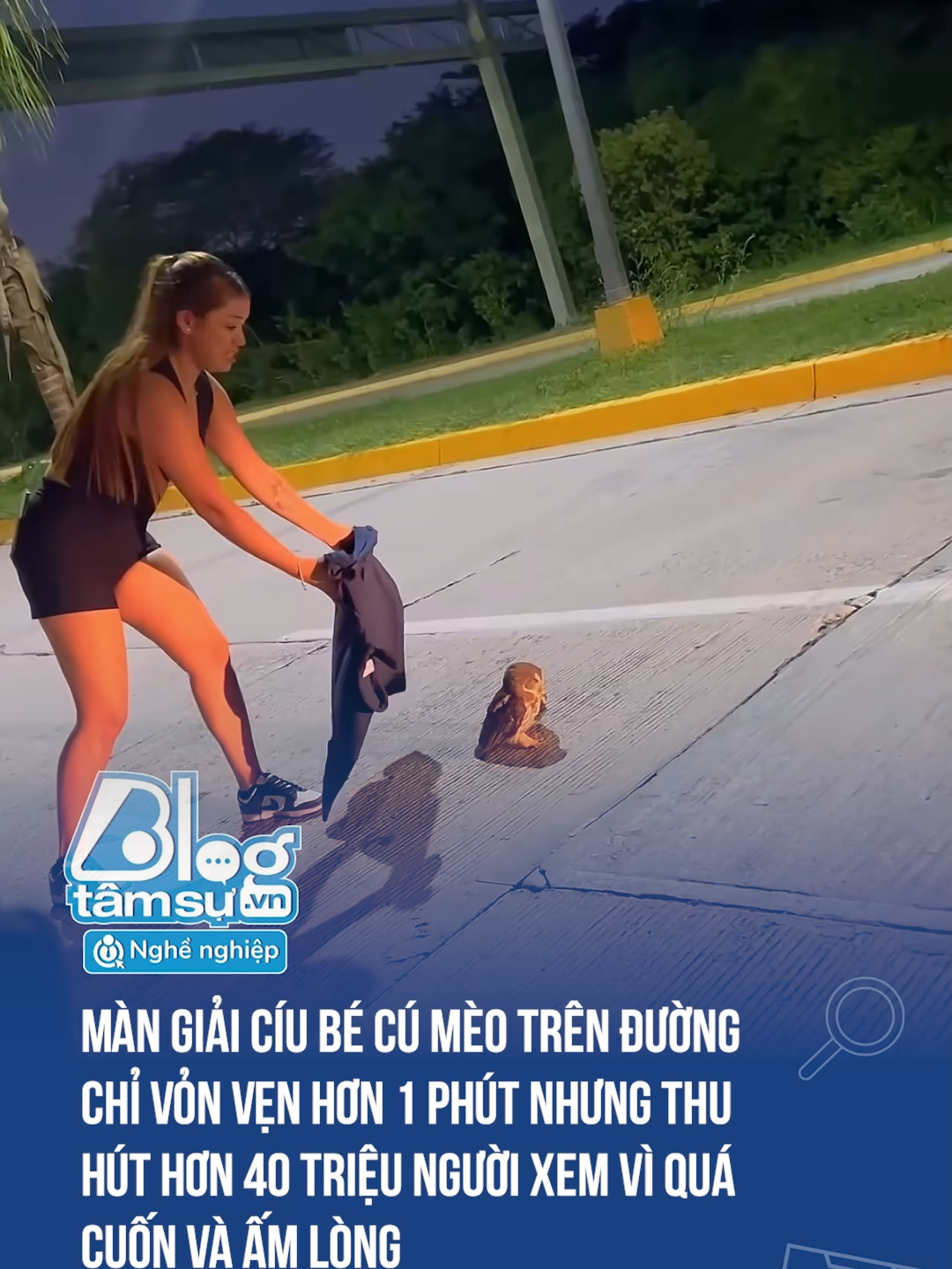 Chị gái tinh tế quá #btsmedia #blogtamsu #funfact #xuhuong #haihuoc #viral #discover #chimcumeo
