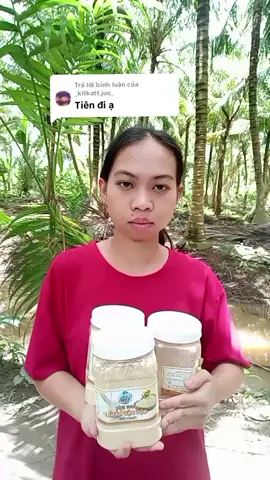 Trả lời @_kitkatt.juu_ #nhacdancamientay #canhdepthonque #camnhicover #cover 