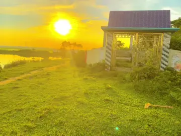 নষ্ট হয়ো না বাপ 🥺#foryou #foryoupage #tiktok #fyp #viral 