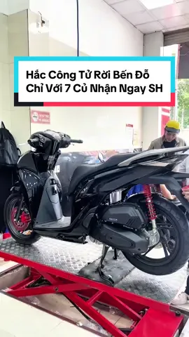 📌 SH125 Hắc Công Tử giá 71.900.000đ // ✅Góp trả trước 7tr nhận xe. // 🎁Combo quà tặng 7tr5 🎁 // ☎️Liên hệ : 0942-995-619(Hồng) hỗ trợ vấn#sh #sh125 #sh125i #xedovietnam #cobebanxe 