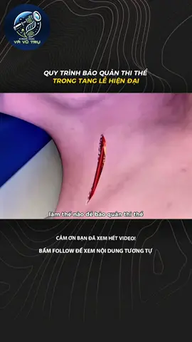 QUY TRÌNH BẢO QUẢN THI THỂ TRONG TANG LỄ HIỆN ĐẠI #LearnOnTikTok #xh #khampha #khoahoc #fyp 