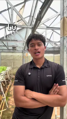 tebak lokasi kebun hidroponik kita? dapet sayuran gratis atau dapet apa yaahh?! #willforeverbeyourgreens #sayuranhidroponik #kebunhidroponik #petanihidroponik #hidroponik 