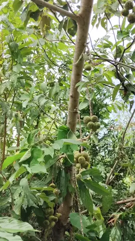 những ngày thất nghiệp 