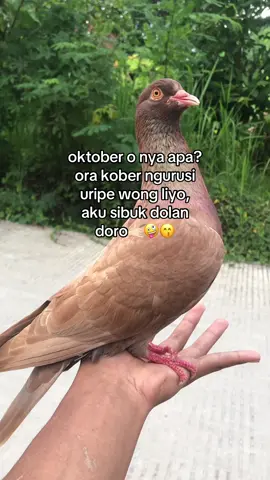 stecu stecu🤙🏻