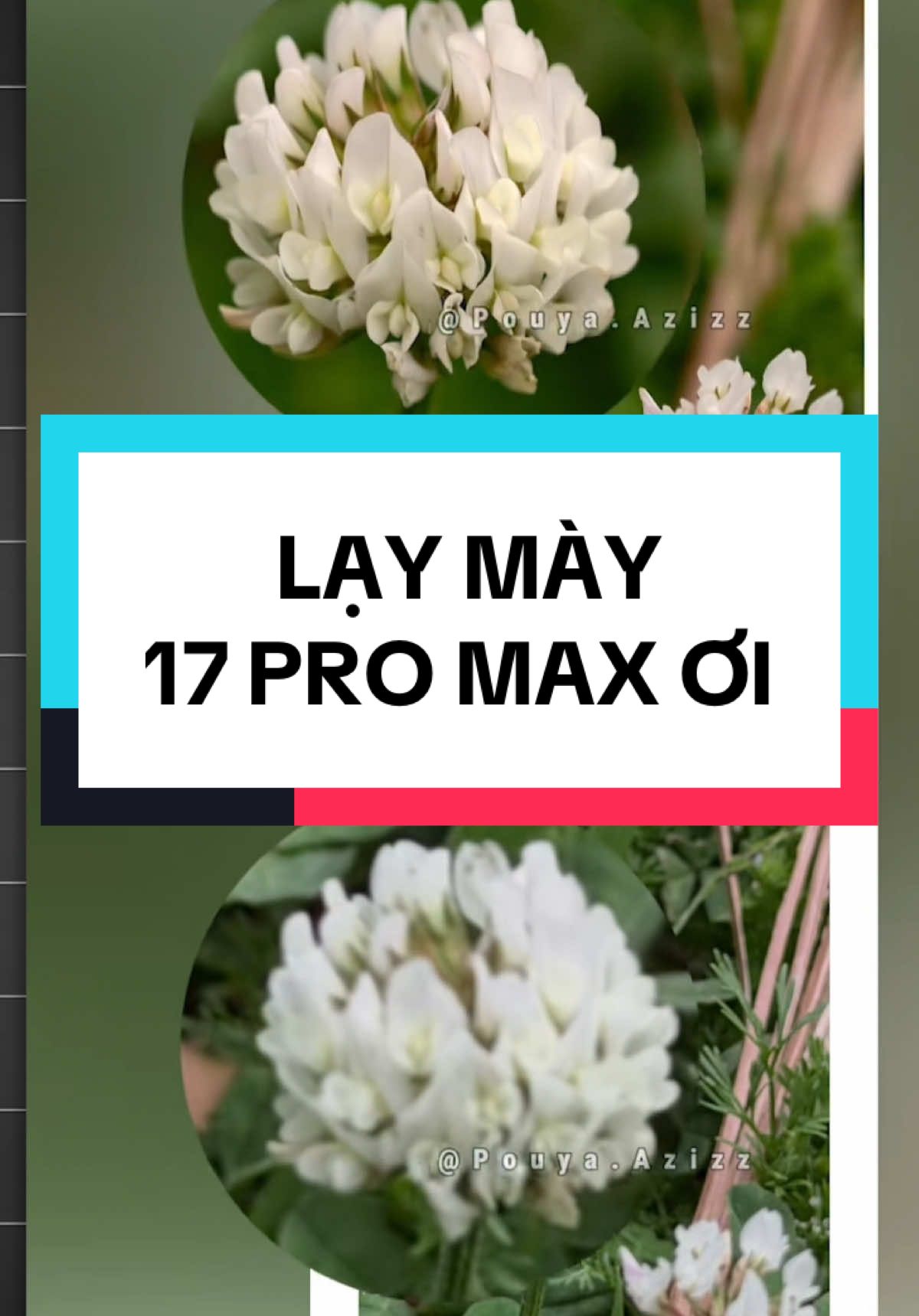 CÚ LỪA CHẾ ĐỘ 8X TRÊN IPHONE 17 PRO MAX :)))) #yeucongnghe #chienthandinhgia #thucudoimoi #iphone17promax 